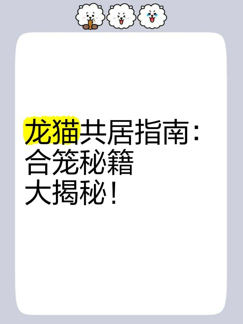如何判斷兩只龍貓是否適合共養？【判斷兩只龍貓是否適合共養需綜合考慮年齡、性別、性格及合籠方法】