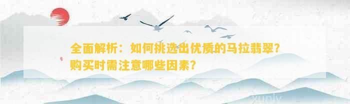 馬拉莫寶石怎么挑選好的【如何挑選優(yōu)質的馬拉翡翠】
