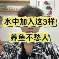 福泉水族店【汕頭市龍湖區珠池福泉水族店】 福泉水族店【汕頭市龍湖區珠池福泉水族店】 全國水族館企業名錄