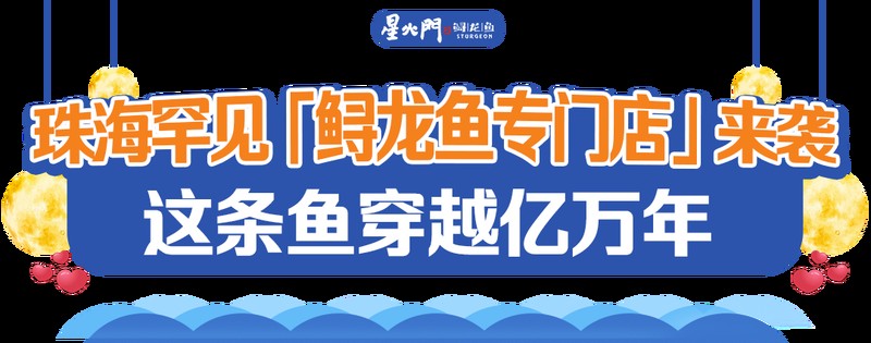 禹會龍魚店【安徽龍魚餐飲運營管理有限公司】