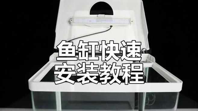 可愛麗魚缸安裝步驟詳解【可愛麗魚缸安裝全攻略】