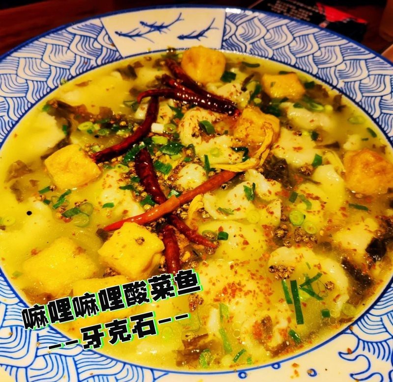 牙克石龍魚店【牙克石市有賣龍魚的嗎】