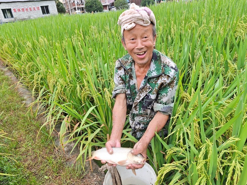 錦屏龍魚店【錦屏縣偶里鄉(xiāng)\