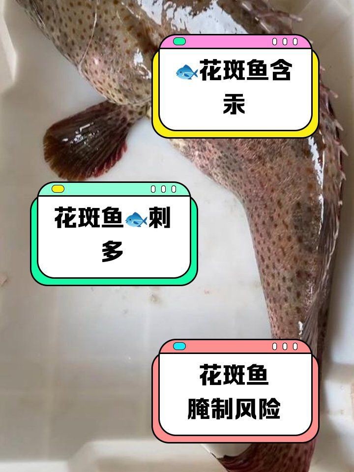 花斑魚的毒性有多強【花斑魚中毒后如何急救】