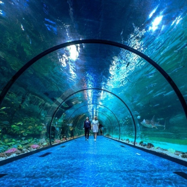 阿壩水族店【阿壩地區的水族業態呈現多元化發展】