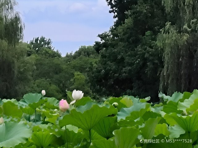 越城水族店【浙東淡水魚館開放“水中大熊貓”中華鱘亮相浙江日報】