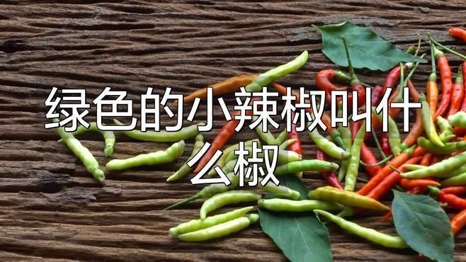 綠色的小米辣是什么辣椒？【綠色小米辣是朝天椒的一種未成熟形態】