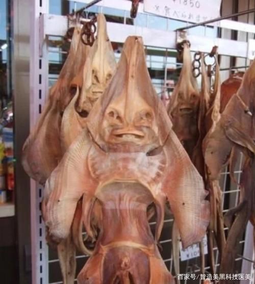 魟魚曬干后的圖片【[需手動填充]魚曬干后的形態與其水中游弋時的優雅形象形成強烈反差】