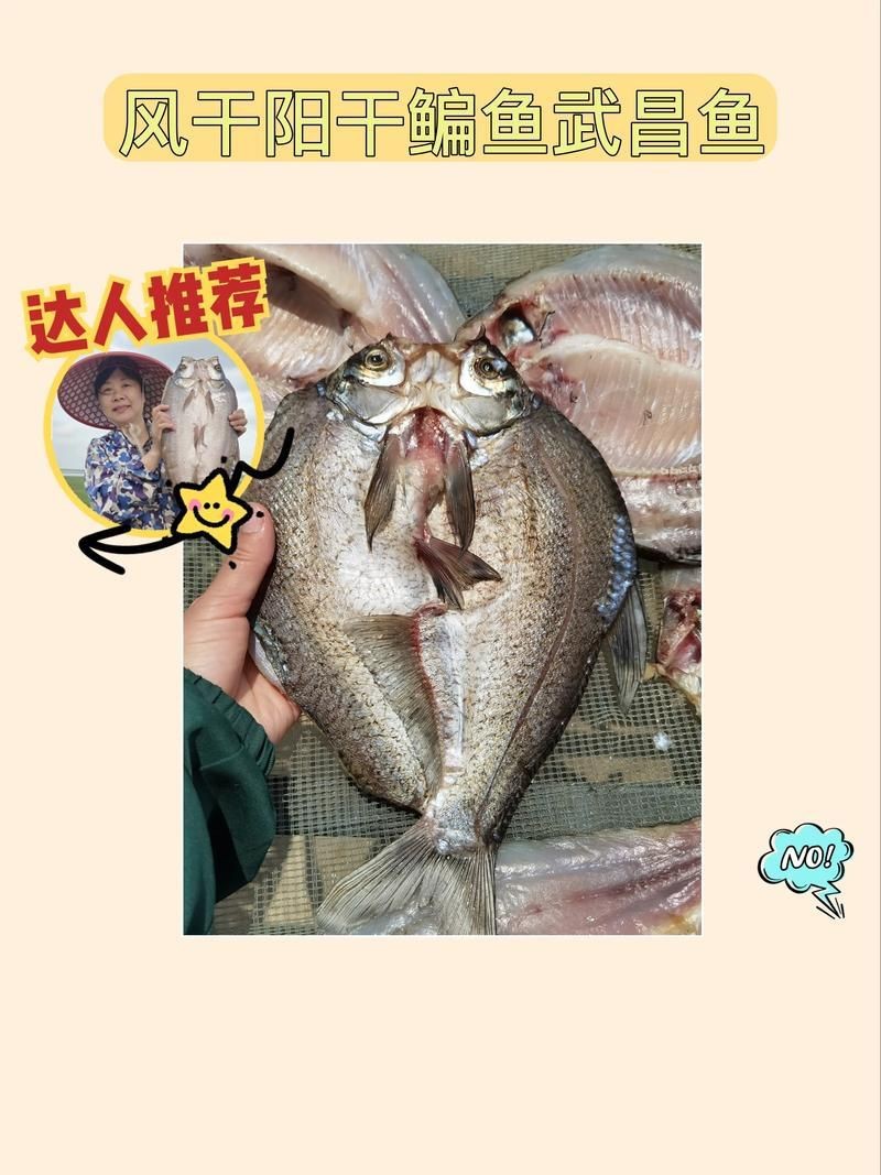 魟魚曬干后的圖片【[需手動填充]魚曬干后的形態與其水中游弋時的優雅形象形成強烈反差】