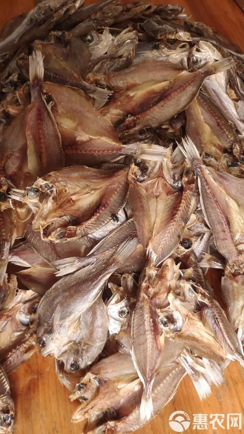 魟魚曬干后的圖片【[需手動填充]魚曬干后的形態與其水中游弋時的優雅形象形成強烈反差】