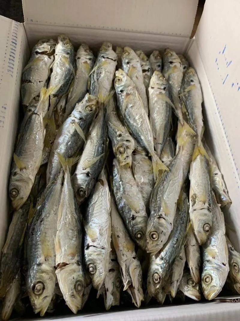 魟魚曬干后的圖片【[需手動填充]魚曬干后的形態與其水中游弋時的優雅形象形成強烈反差】