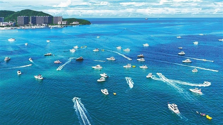 金龍魚總部搬遷至三亞了嗎【三亞金龍魚總部在哪里躕金龍魚總部在哪里兔職談】