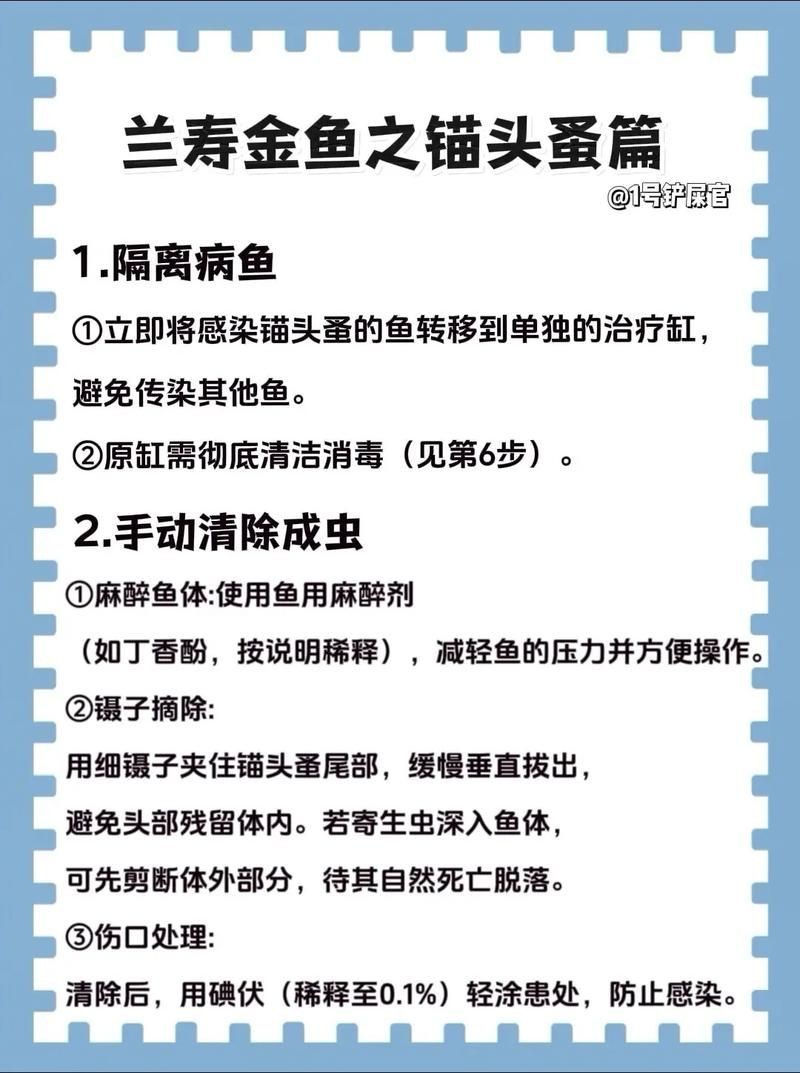 金龍魚寄生蟲圖片【關于金龍魚寄生蟲感染的詳細圖文分析】