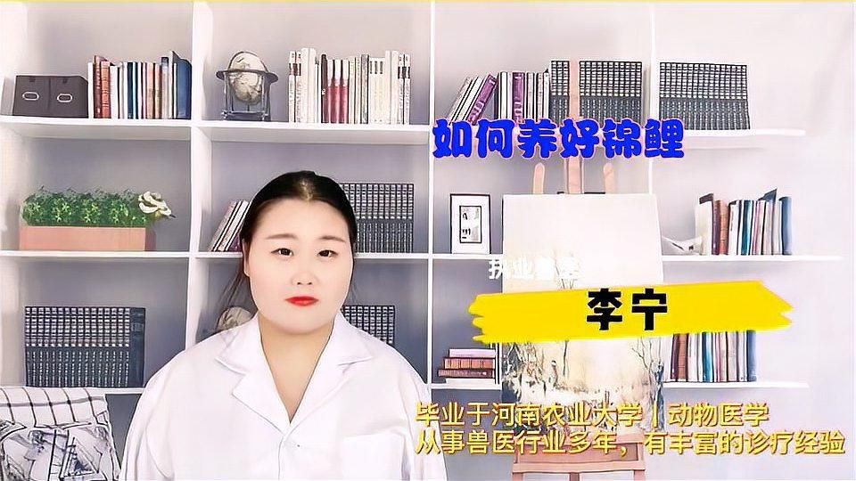 錦鯉魚飼養(yǎng)需要注意什么？【養(yǎng)錦鯉魚需要注意哪些問題？】