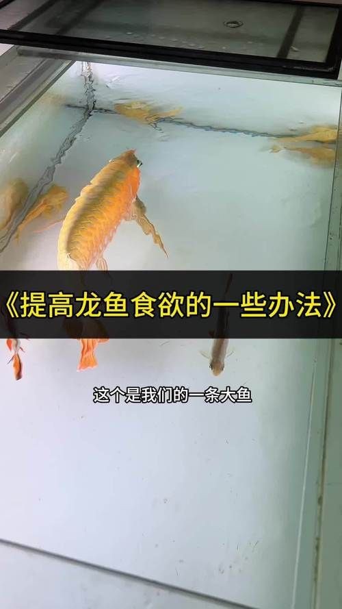 水族傳統建筑的材料有哪些，如何保護水族傳統建筑中的木材？ 水族傳統建筑的材料有哪些，如何保護水族傳統建筑中的木材？ 龍魚百科 第1張