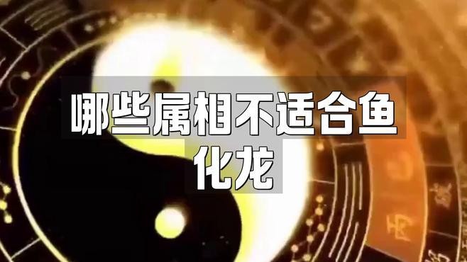 魚化龍佩戴有哪些講究？【關于魚化龍飾品的佩戴講究需結合文化寓意、材質特性及個人命理綜合考量】 魚化龍佩戴有哪些講究？【關于魚化龍飾品的佩戴講究需結合文化寓意、材質特性及個人命理綜合考量】 龍魚論壇 第2張
