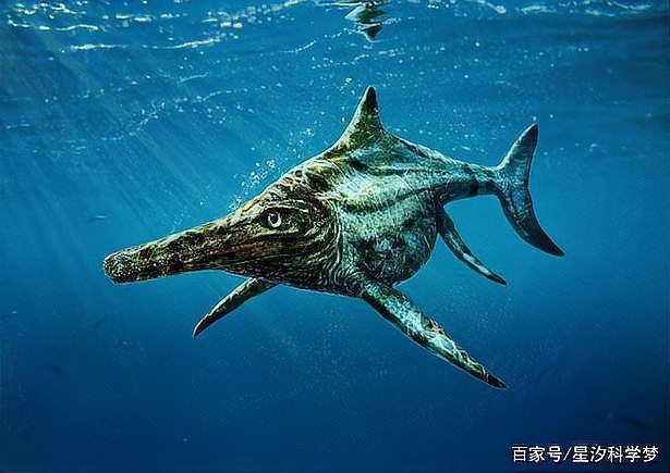 魚龍是魚還是龍【古生物“魚龍”到底是魚還是恐龍】