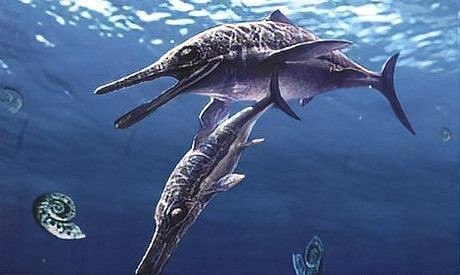 魚龍是魚還是龍【古生物“魚龍”到底是魚還是恐龍】