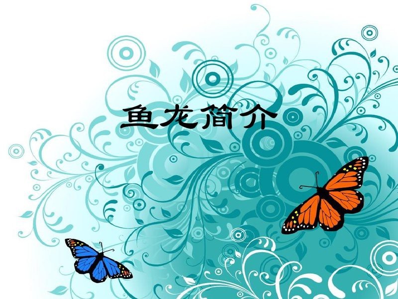 魚龍是魚還是龍【古生物“魚龍”到底是魚還是恐龍】