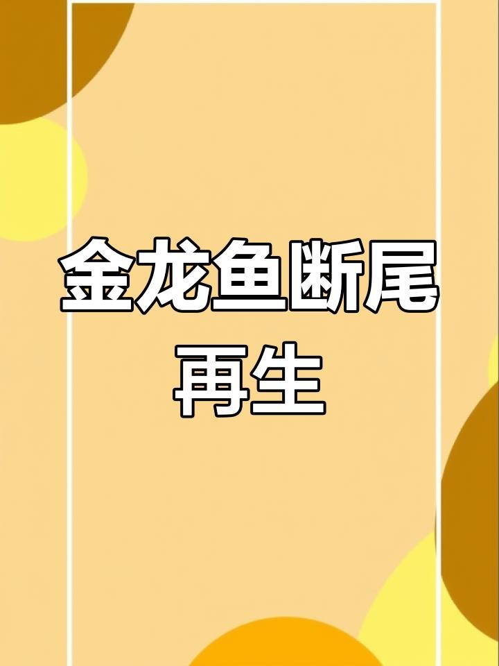 龍魚掉尾后如何護理？【智能模式回答完成調(diào)用工具：百度健康】