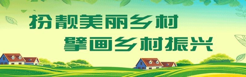 水族在哪個地方【##問題分析,注意事項：##作答,水族民族的地理分布與文化特色】