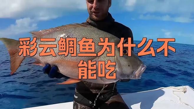鯛魚為啥不能多吃【智能模式回答完成調用工具：百度健康,鯛魚營養豐富】