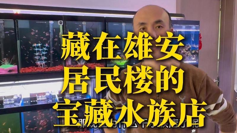 詳細閱讀:雄縣水族店【雄縣哪家水族店口碑好】 雄縣水族店【雄縣哪家水族店口碑好】