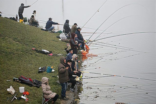 連續(xù)下雨后魚浮頭多久會(huì)恢復(fù)？【連續(xù)下雨后魚浮頭多久能恢復(fù)正常】
