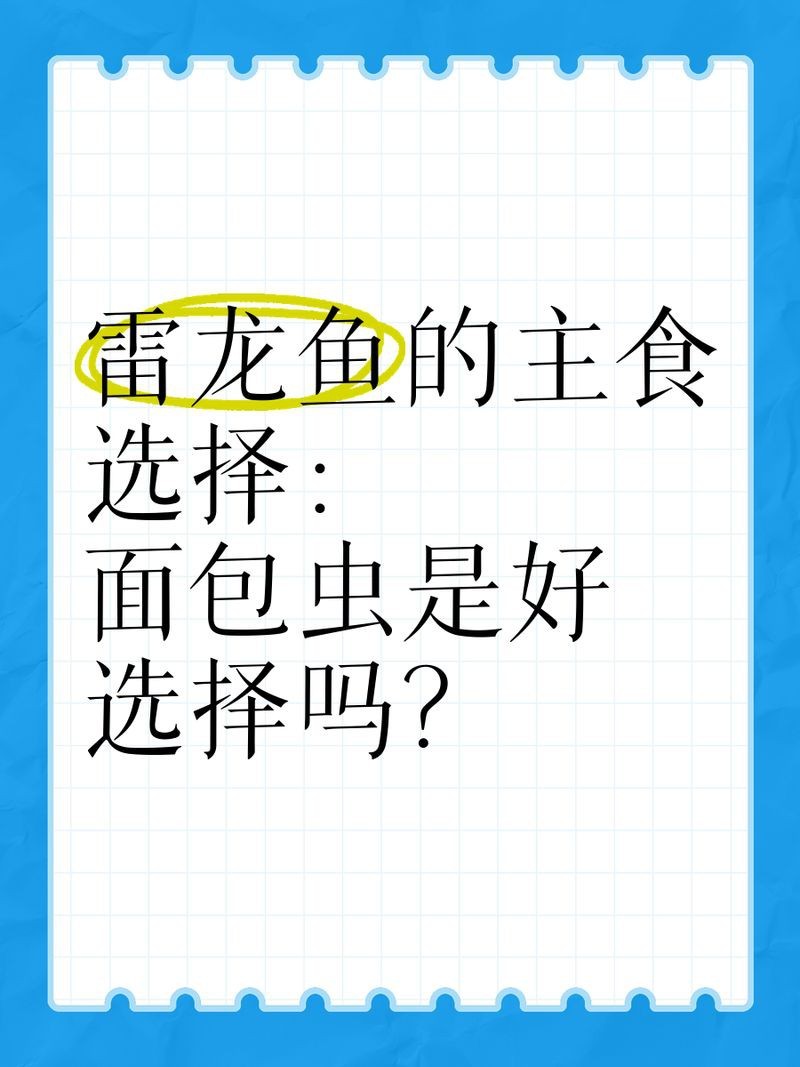 雷龍魚最愛(ài)吃的食物【雷龍魚喂養(yǎng)指南】