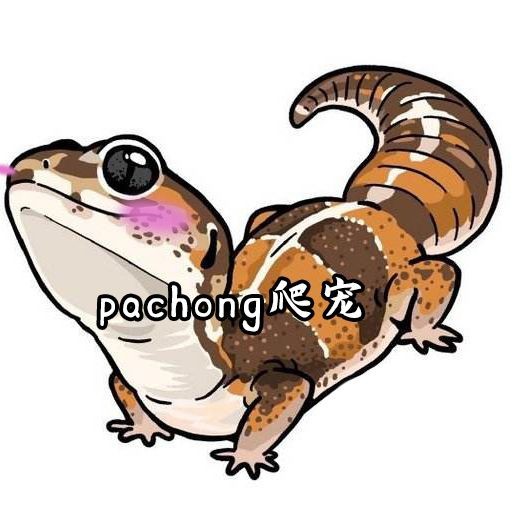 金魚炸鱗能自愈嗎【金魚炸鱗(能自愈嗎金魚掉鱗能自愈嗎】