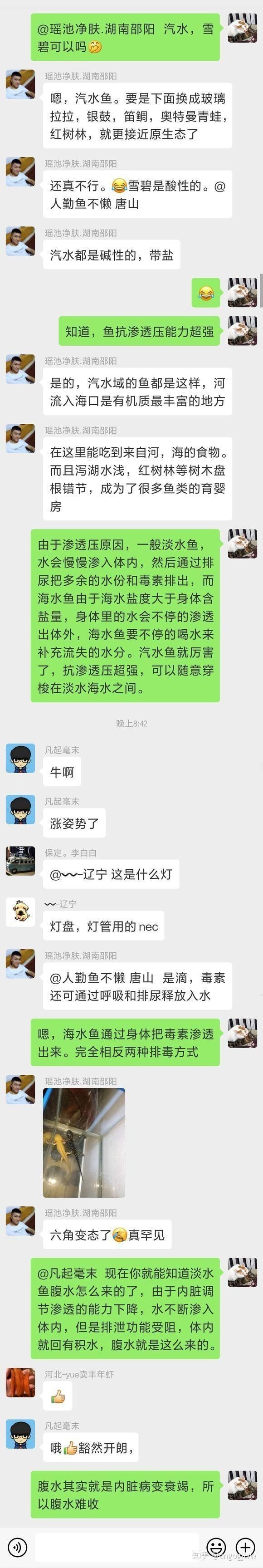 腹水魚最簡單三個處理【三種最簡單有效的腹水病處理方法】