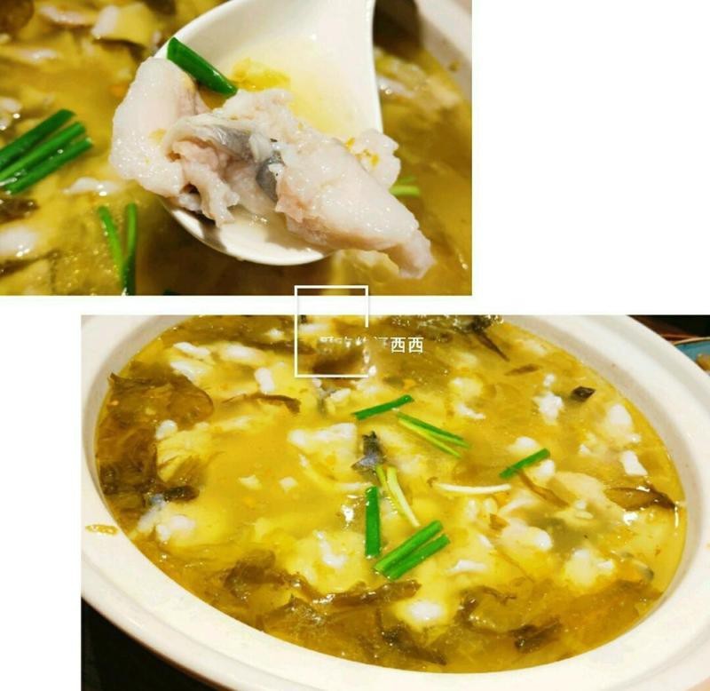渾源龍魚店【如何判斷渾源縣龍魚的價值】
