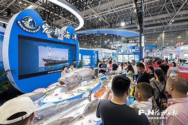 福州龍魚店【福州龍魚-福州觀賞魚店】
