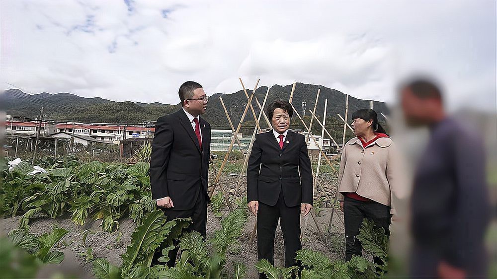 強拆農(nóng)民養(yǎng)殖場合法嗎【強拆農(nóng)民養(yǎng)殖場的法律邊界與現(xiàn)實困境】