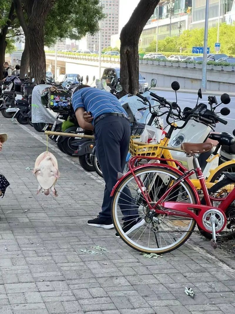 甲魚盡量少吃的原因【吃甲魚需要注意什么？】