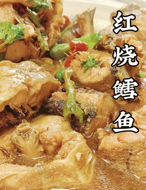 紅血魚最漂亮的照片【世界最貴的十大觀賞魚】