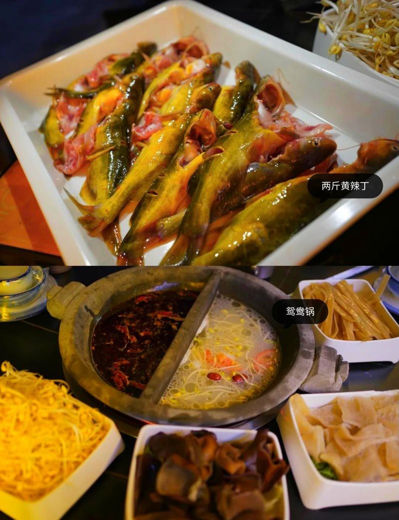 漢濱龍魚店【安康漢濱區的龍魚美食以鮮嫩活魚和特色鍋底聞名】