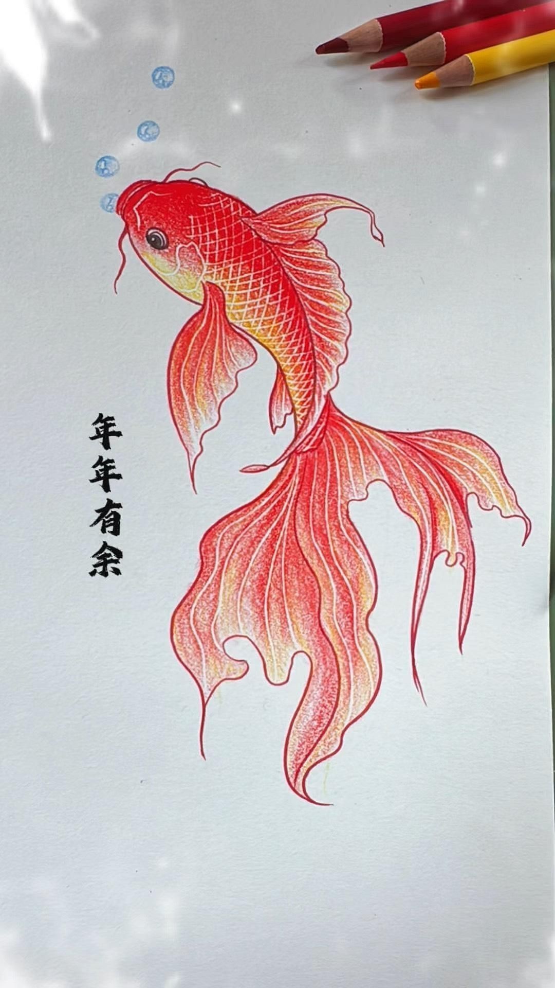 鯉魚的畫法視頻