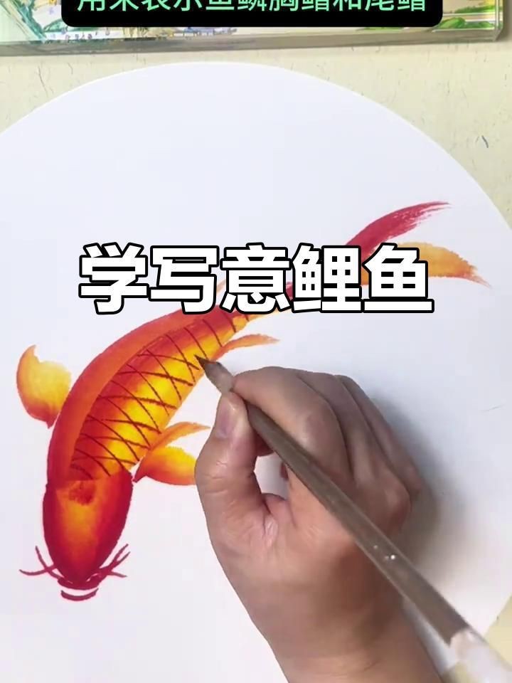 鯉魚的畫法視頻