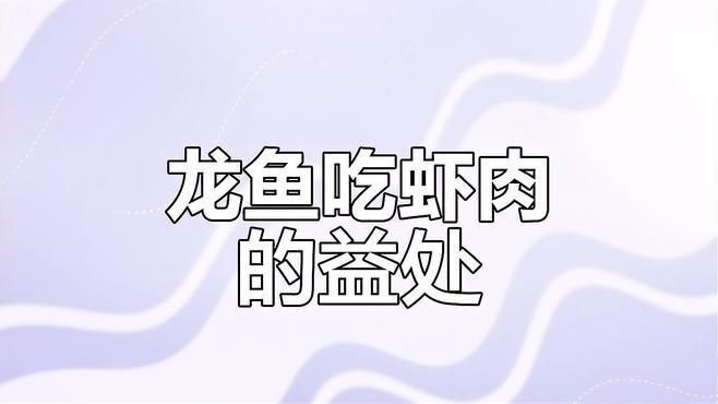 紅龍魚喂蝦好還是泥鰍好【紅龍魚的喂食選擇是飼養(yǎng)過程中的關(guān)鍵環(huán)節(jié)】 紅龍魚喂蝦好還是泥鰍好【紅龍魚的喂食選擇是飼養(yǎng)過程中的關(guān)鍵環(huán)節(jié)】 龍魚論壇 第3張