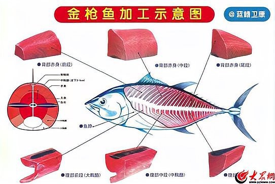 武陟龍魚店【李新才與武陟龍魚店的關(guān)系介紹】