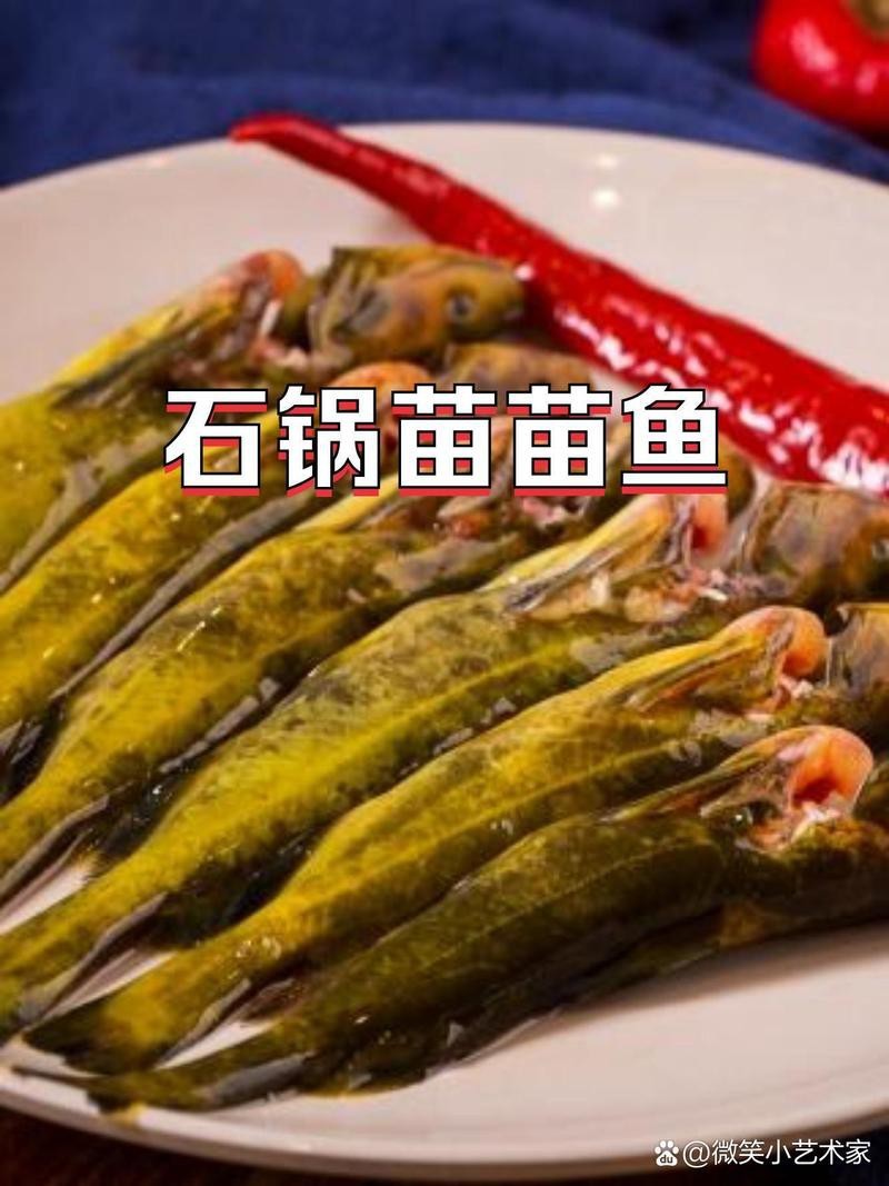 鄰水龍魚店【樂山這22家龍魚店讓你“魚”罷不能,本地人帶路才找得到】