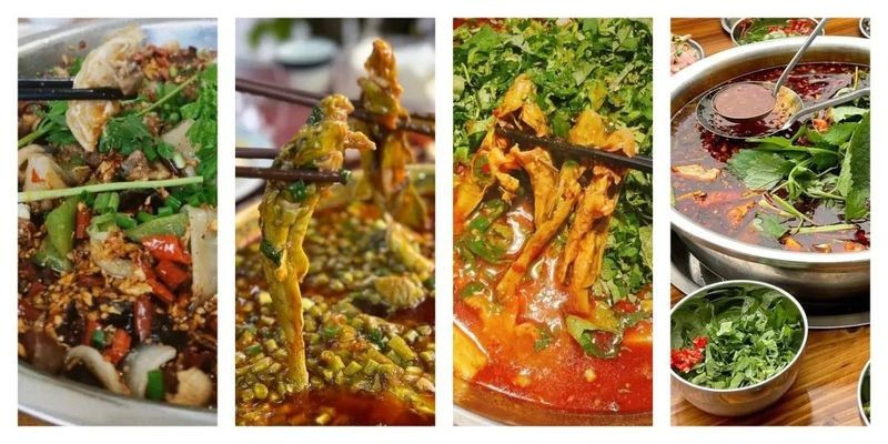 鄰水龍魚店【樂山這22家龍魚店讓你“魚”罷不能,本地人帶路才找得到】