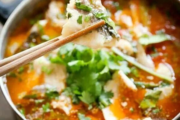 給貓吃的魚要怎么煮【如何給貓咪做魚類烹飪】