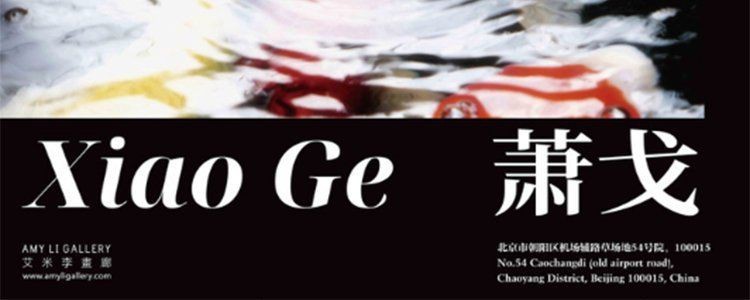 錦鯉的圖片【十三類錦鯉圖片大全-高清錦鯉圖片大全】