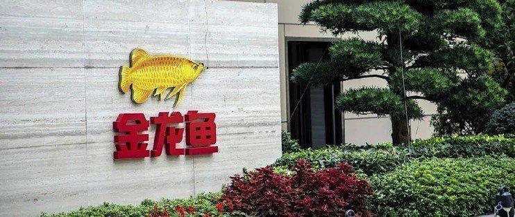 金龍魚是美國控股嗎【金龍魚并非由美國直接控股，但其股權結構涉及復雜的跨國資本關系】
