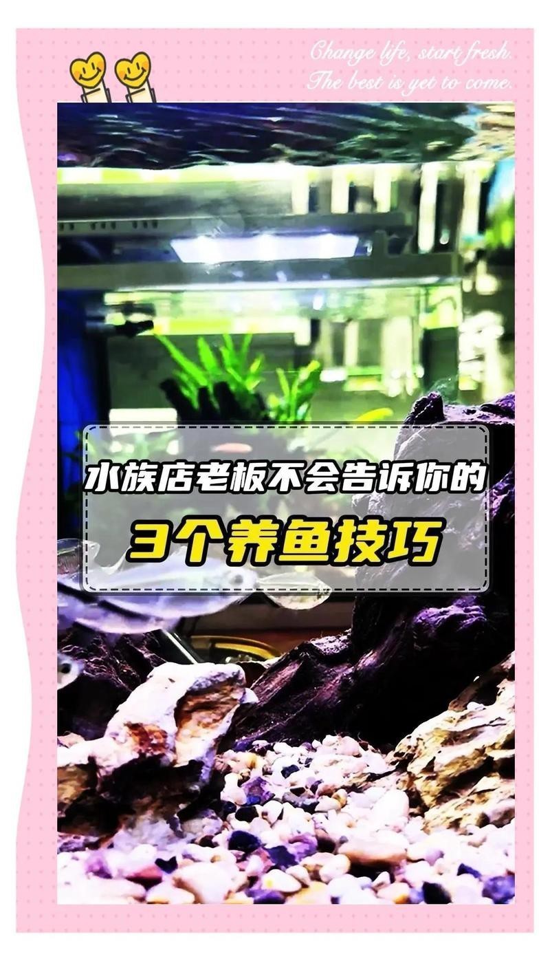 鎮康水族店【水族店老板不說的3大技巧】 鎮康水族店【水族店老板不說的3大技巧】 全國水族館企業名錄 第4張
