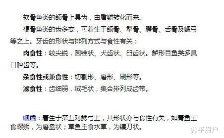 清魚牙齒圖片大全【青魚牙齒的奇妙世界】
