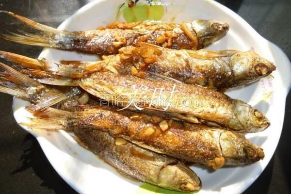 紅尾平克魚最佳烹飪方法【關于紅尾平克魚的烹飪方法】