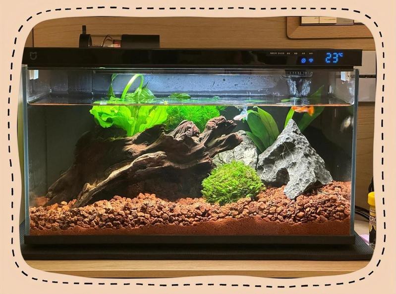 龍陵水族店【龍陵縣水族店業態】